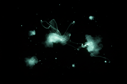 black glow in the dark