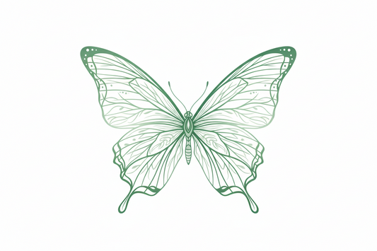 Green butterfly illustration on a white background